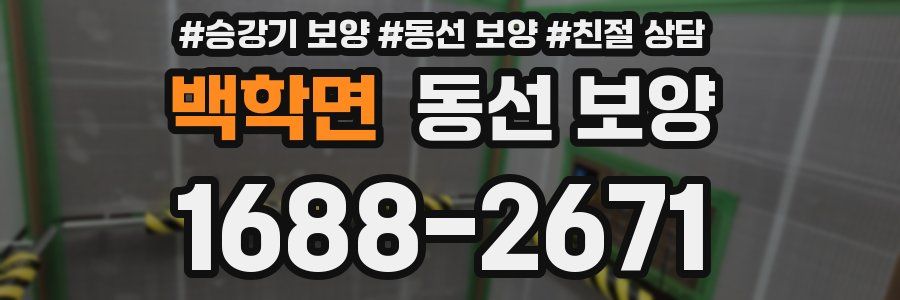 백학면 동선 보양