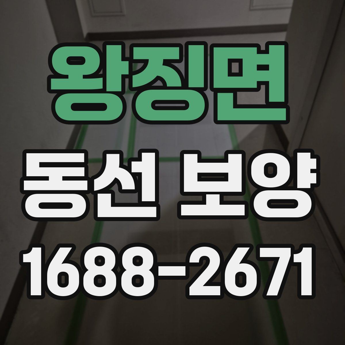 왕징면 동선 보양 현장 적용 사례와 작업 노하우