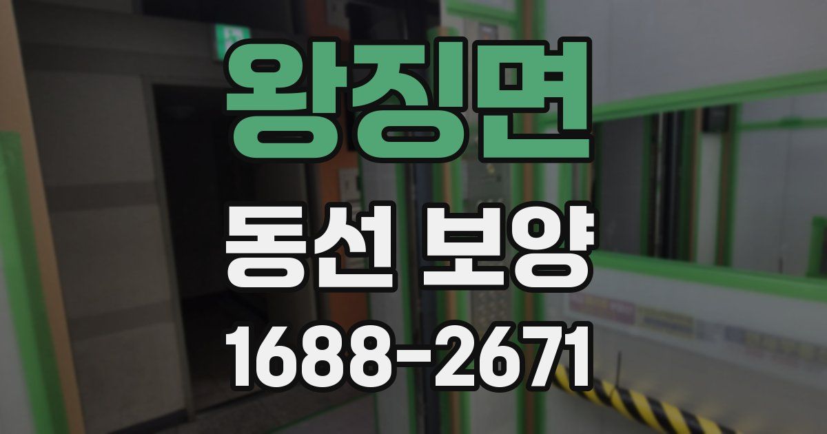 왕징면 동선 보양
