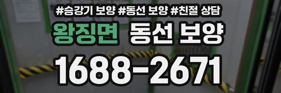 왕징면 동선 보양