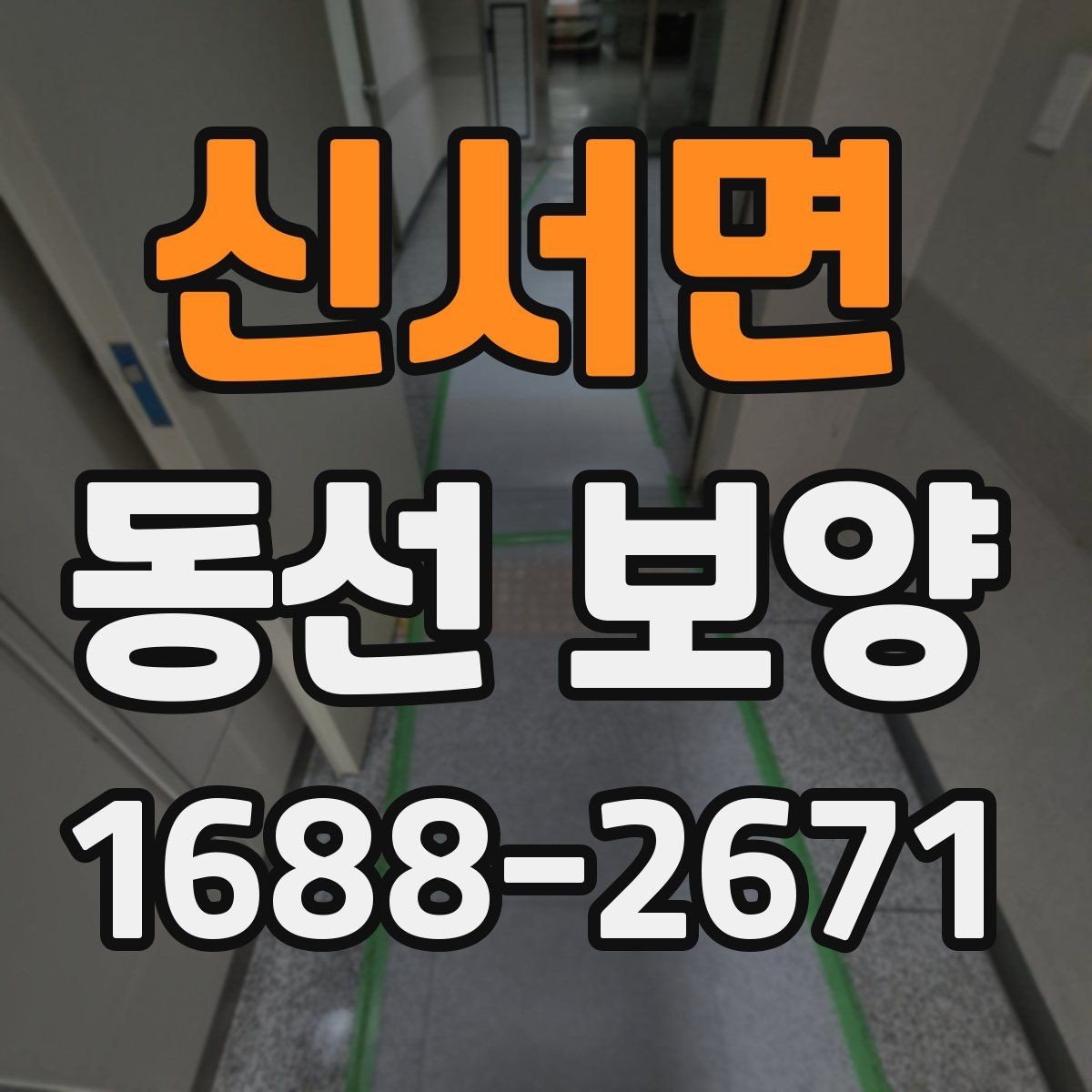 신서면 동선 보양 비용 계산 전에 확인할 부분