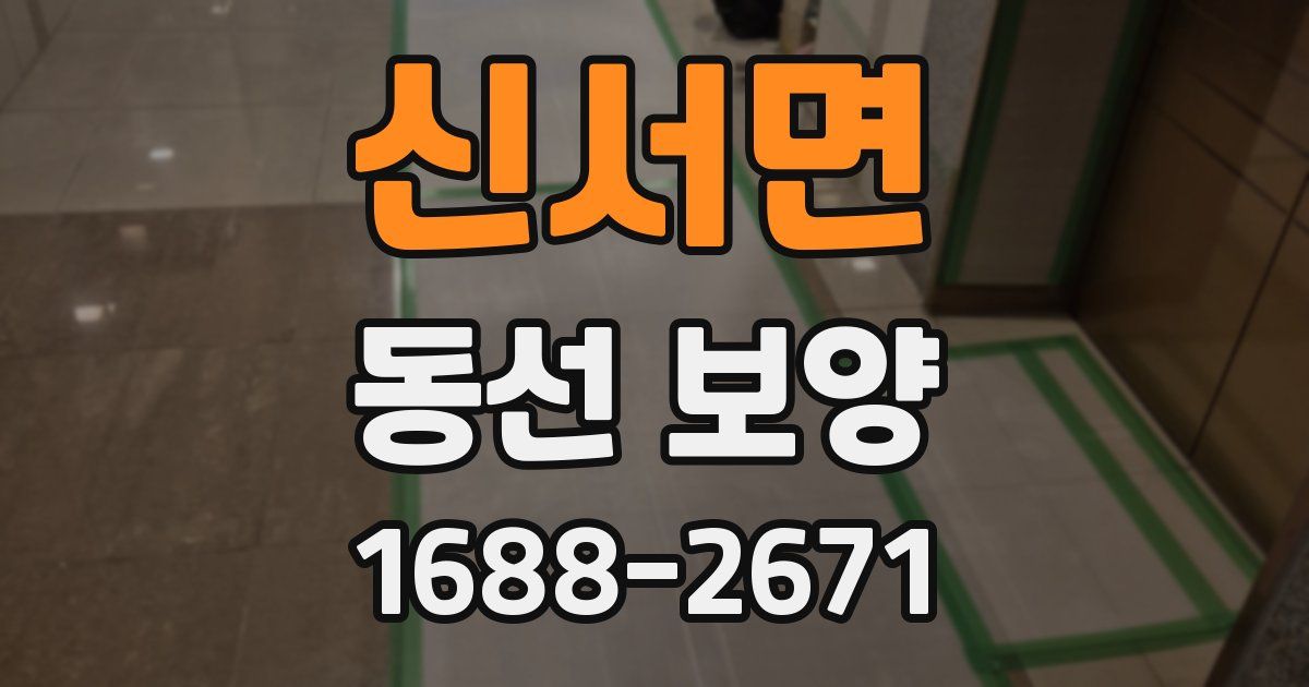 신서면 동선 보양