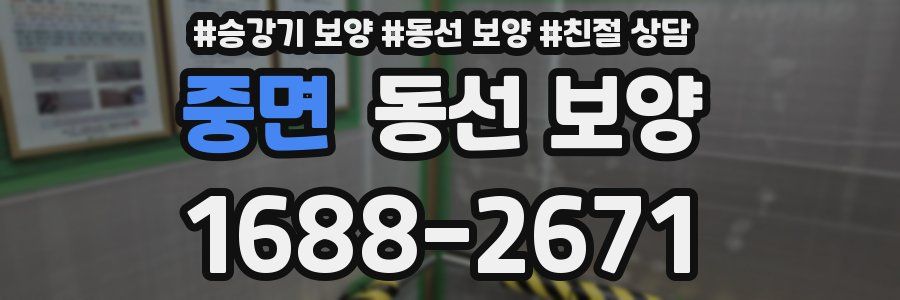 중면 동선 보양