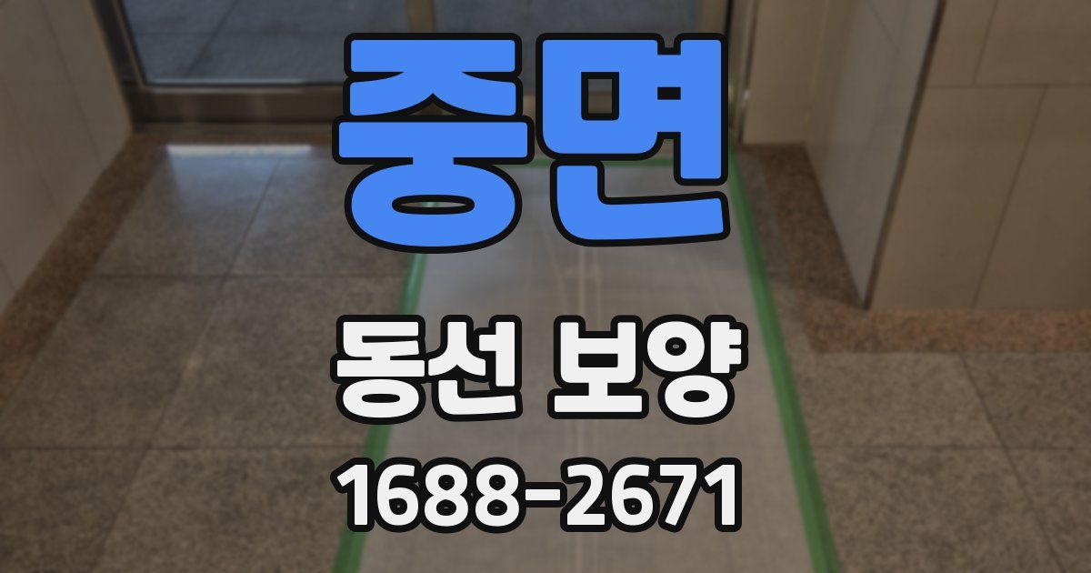 중면 동선 보양