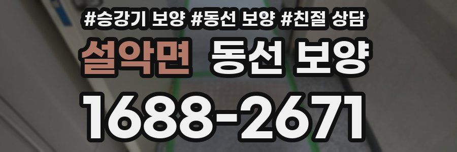 설악면 동선 보양
