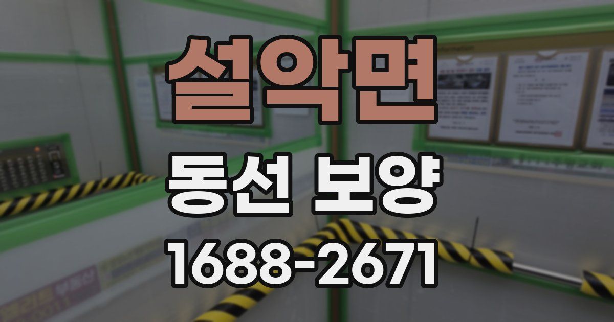 설악면 동선 보양