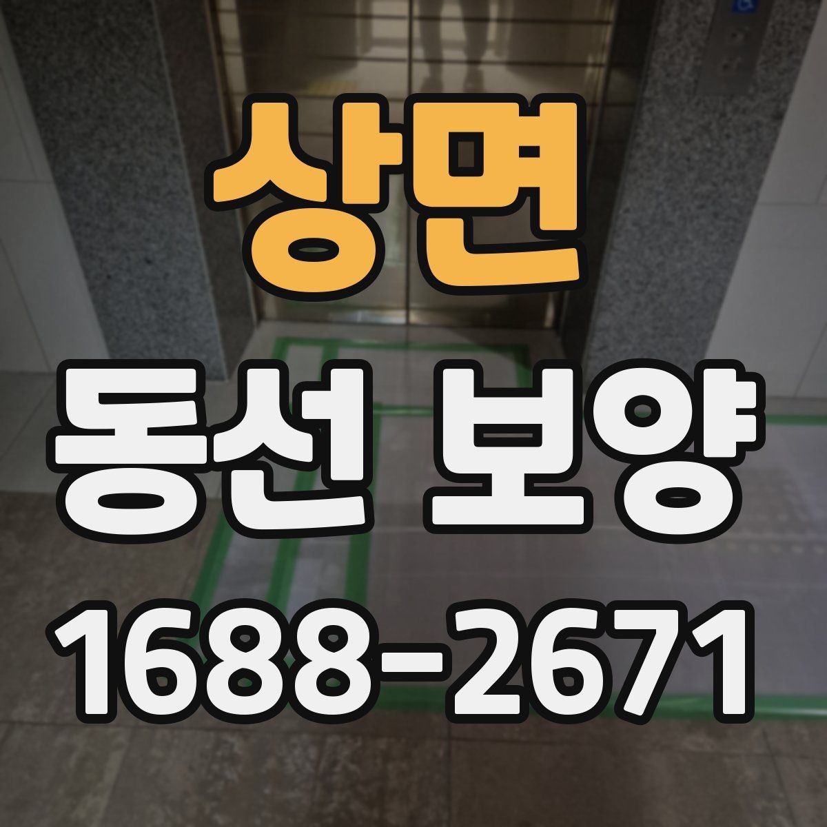 상면 동선 보양 과정별 역할과 확인 포인트