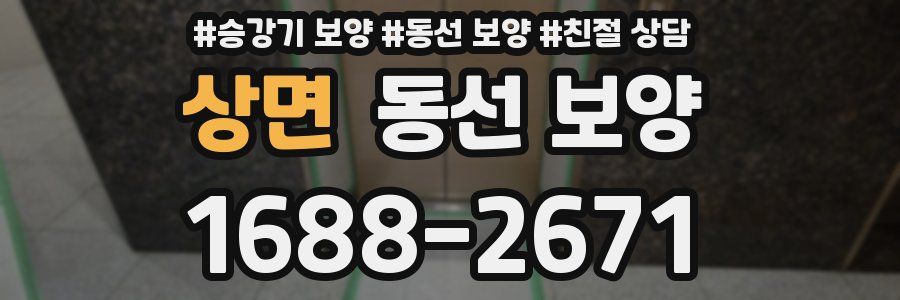 상면 동선 보양