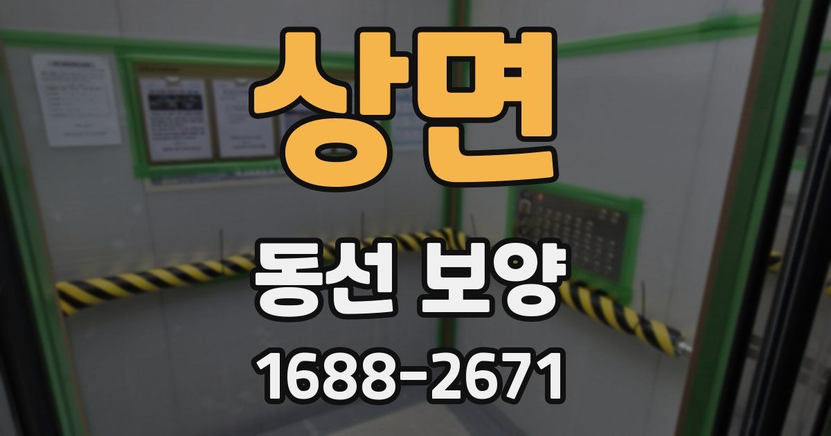 상면 동선 보양