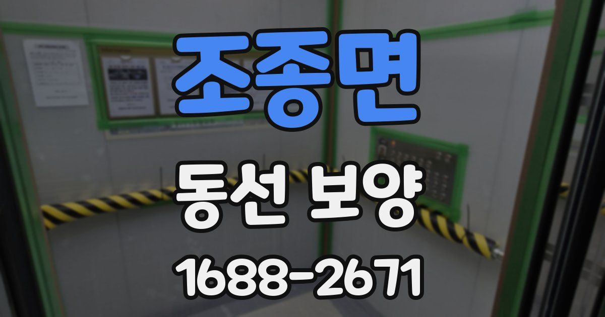 조종면 동선 보양
