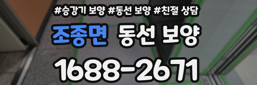 조종면 동선 보양
