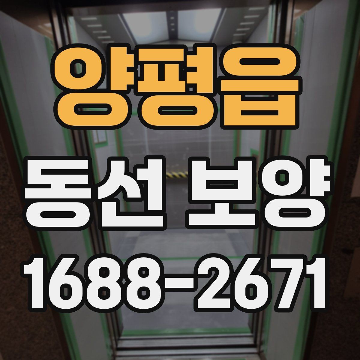 양평읍 동선 보양 재료별 특징과 적용 상황
