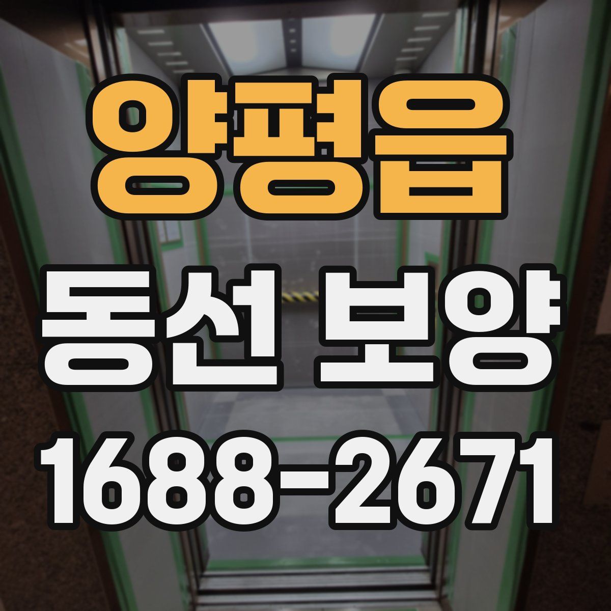 양평읍 동선 보양