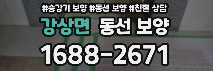 강상면 동선 보양