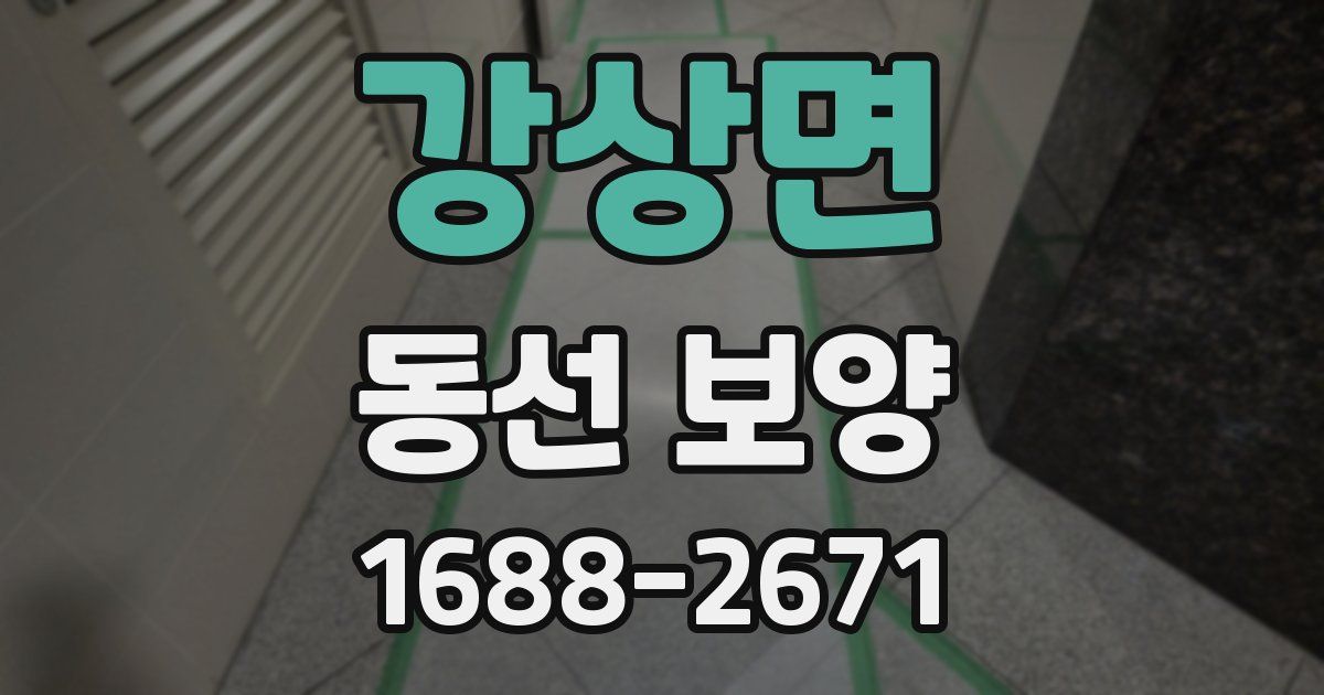 강상면 동선 보양