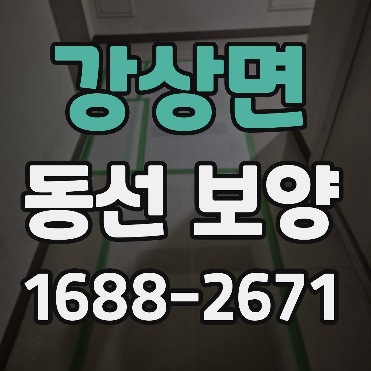 강상면 동선 보양