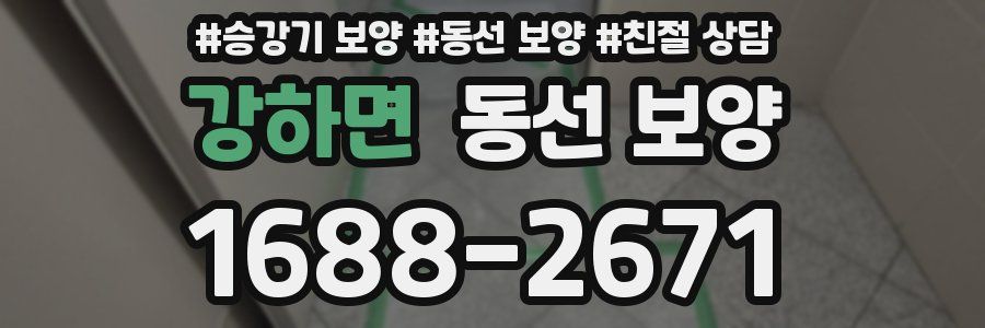 강하면 동선 보양