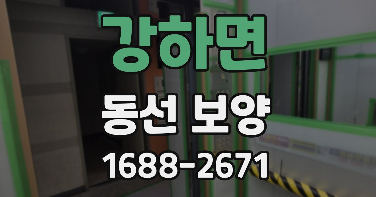 강하면 동선 보양