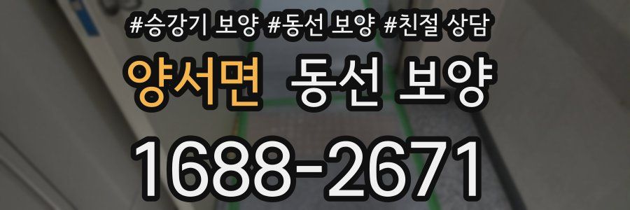 양서면 동선 보양