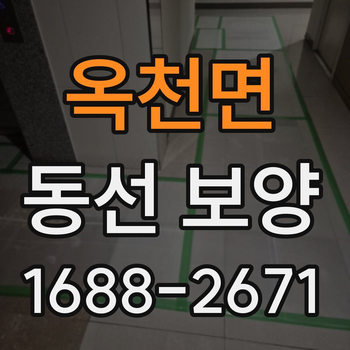 옥천면 동선 보양