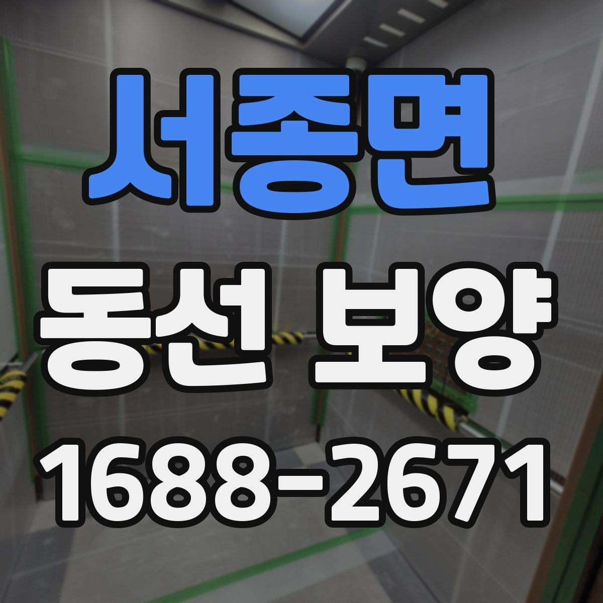 서종면 동선 보양 현장에 맞는 보호 방법 정리