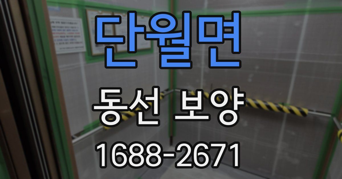 단월면 동선 보양