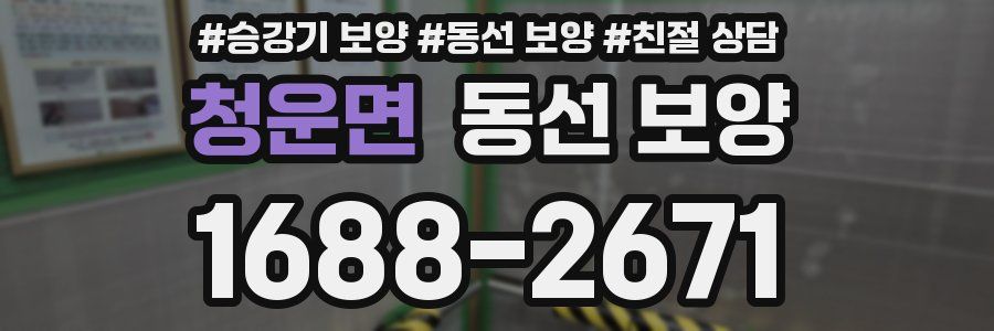 청운면 동선 보양
