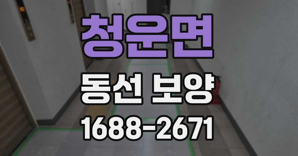 청운면 동선 보양