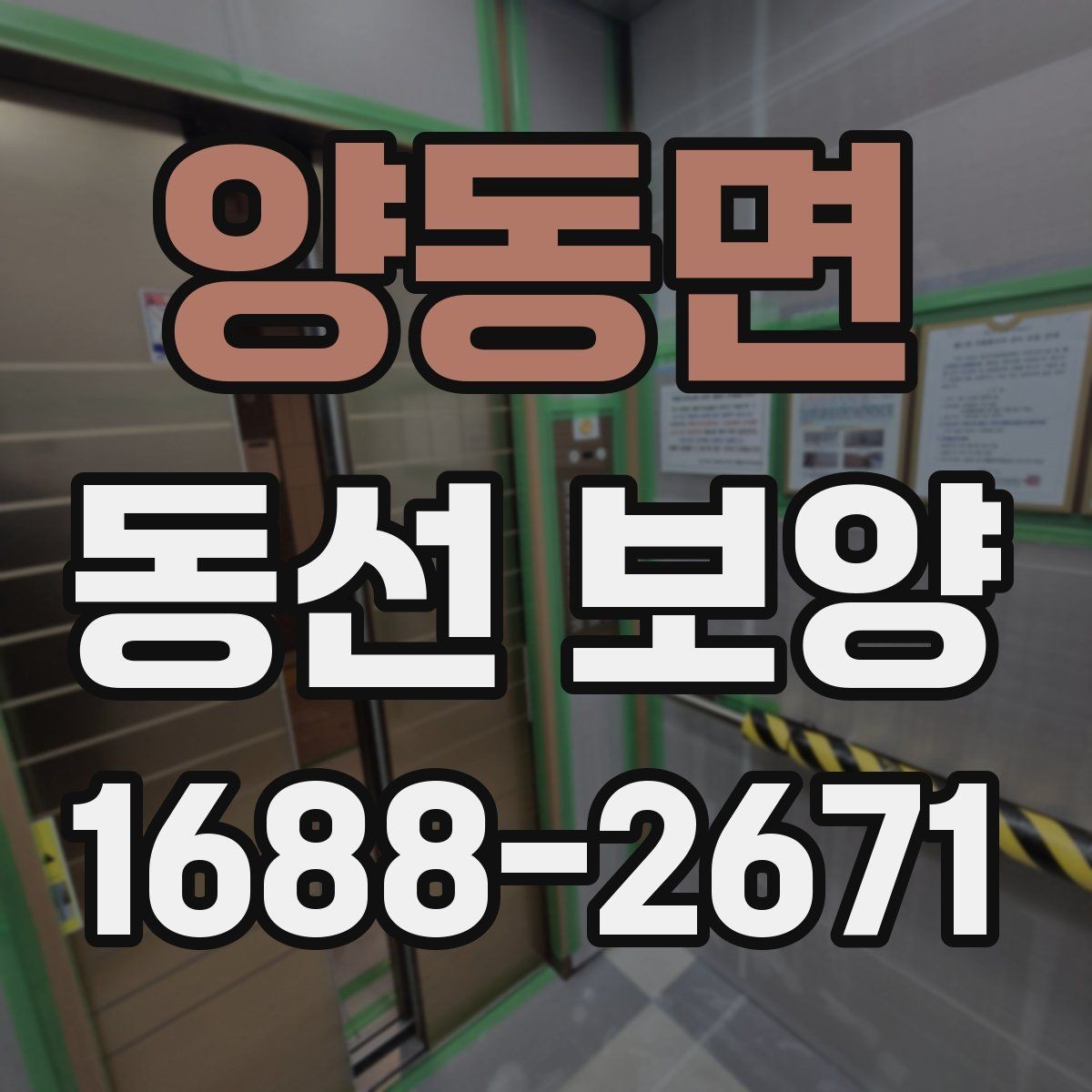 양동면 동선 보양 후 유지 관리를 고려한 선택