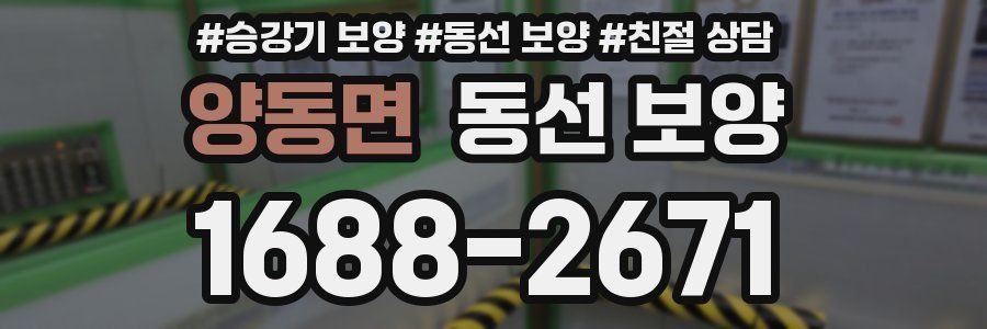 양동면 동선 보양