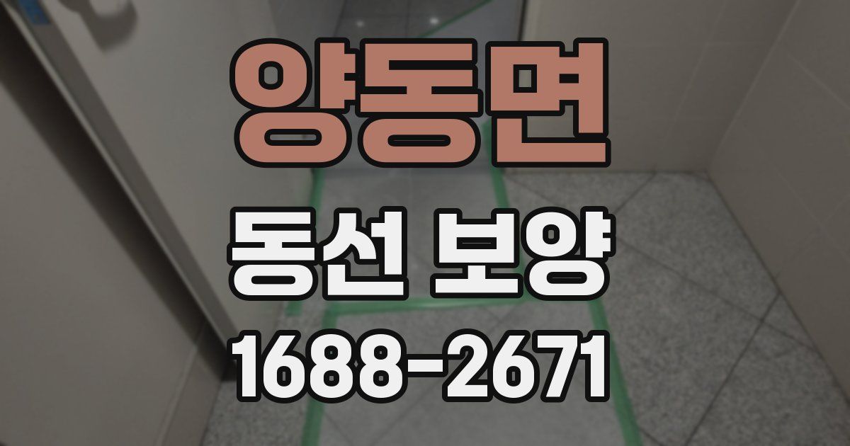 양동면 동선 보양