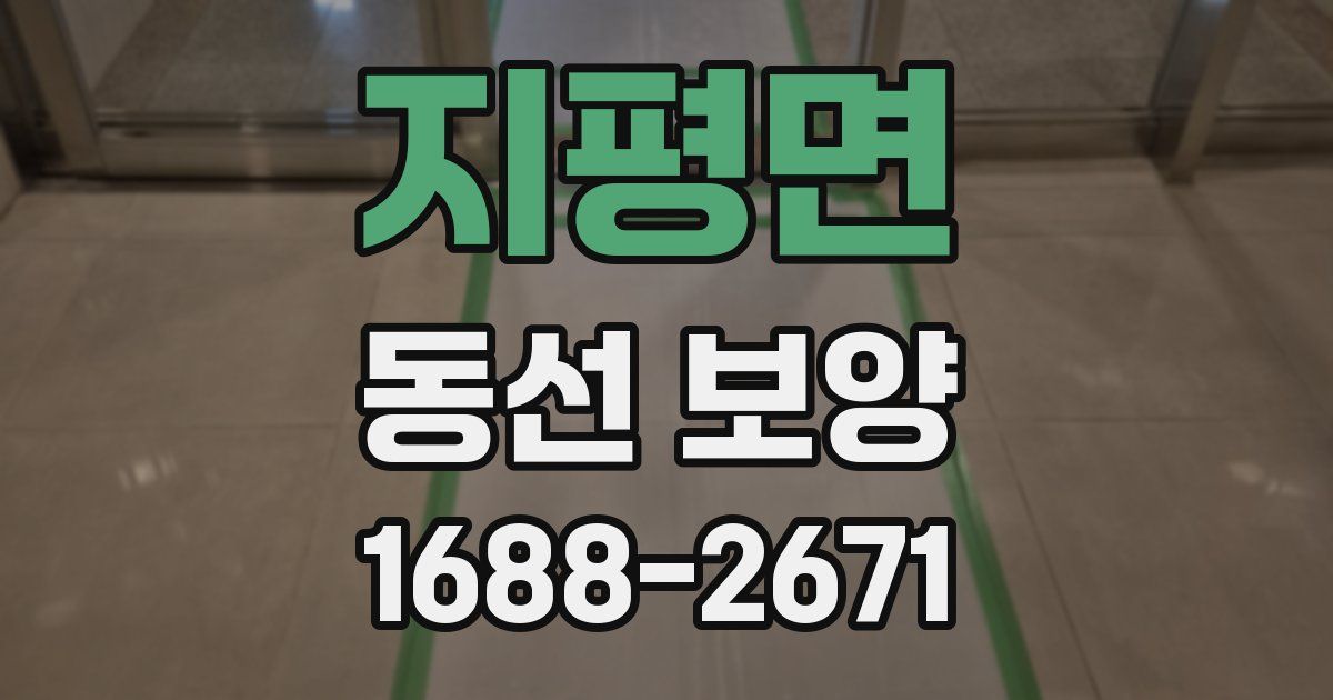 지평면 동선 보양