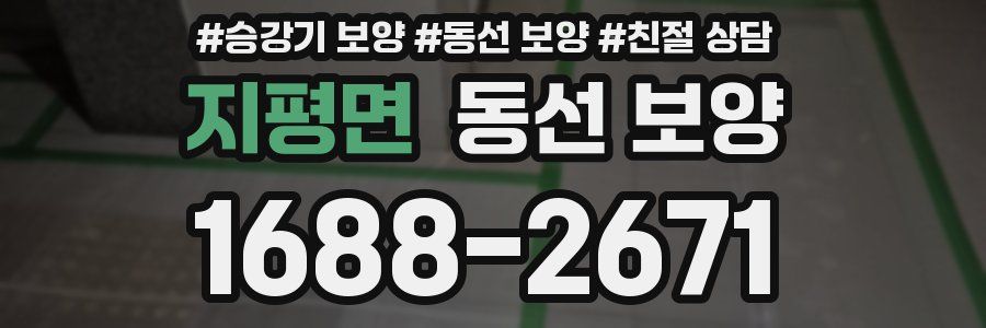 지평면 동선 보양
