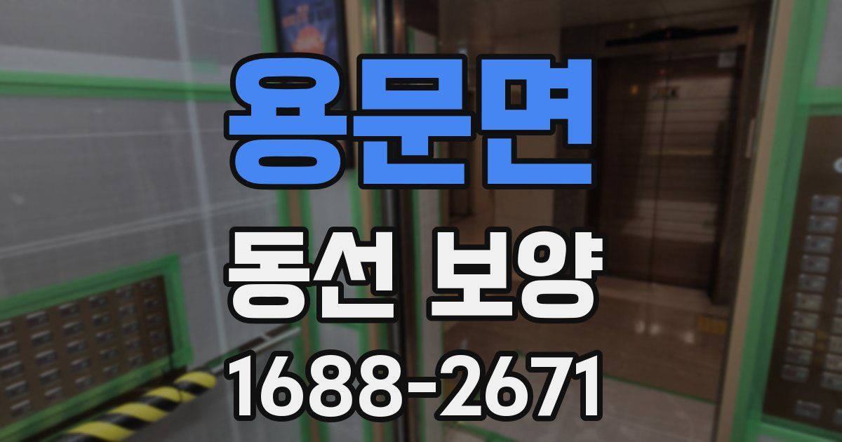 용문면 동선 보양