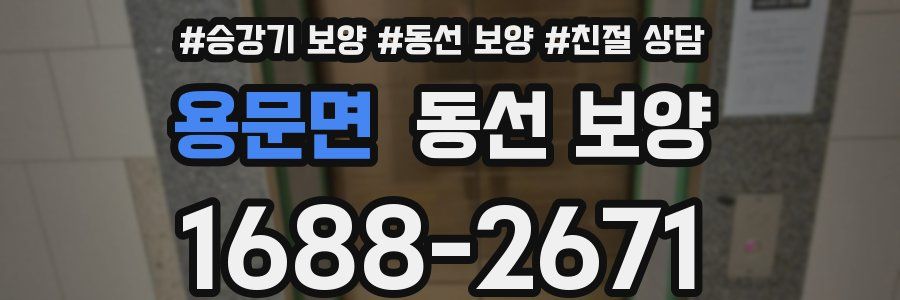 용문면 동선 보양