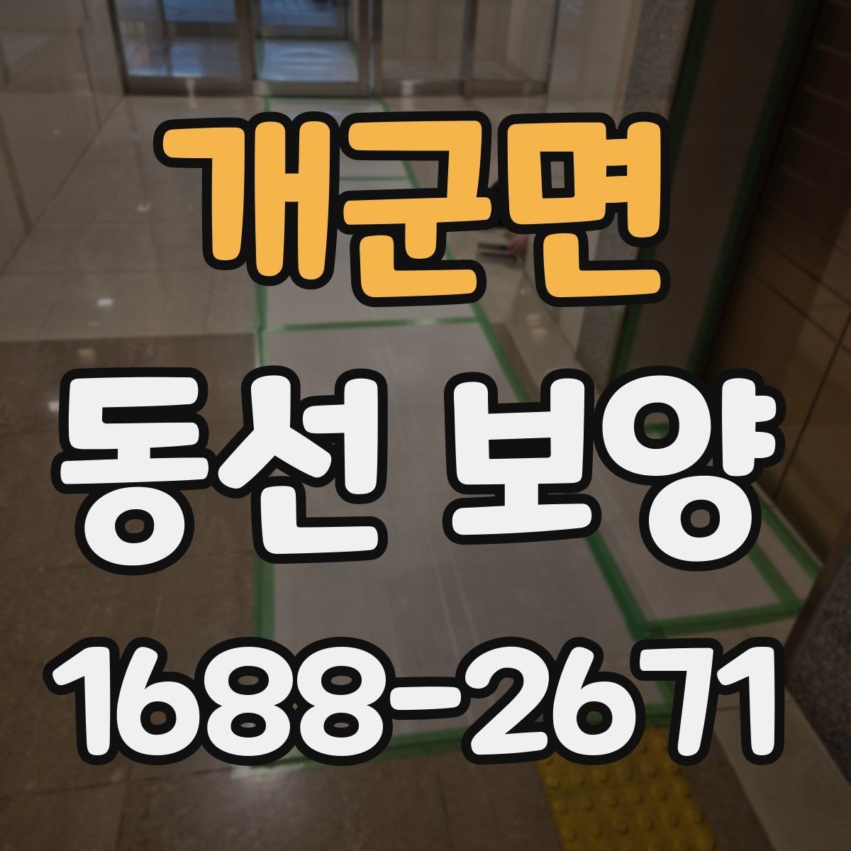 개군면 동선 보양 비용과 범위가 달라지는 상황
