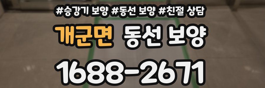 개군면 동선 보양