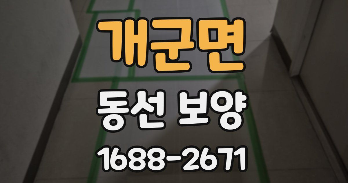 개군면 동선 보양