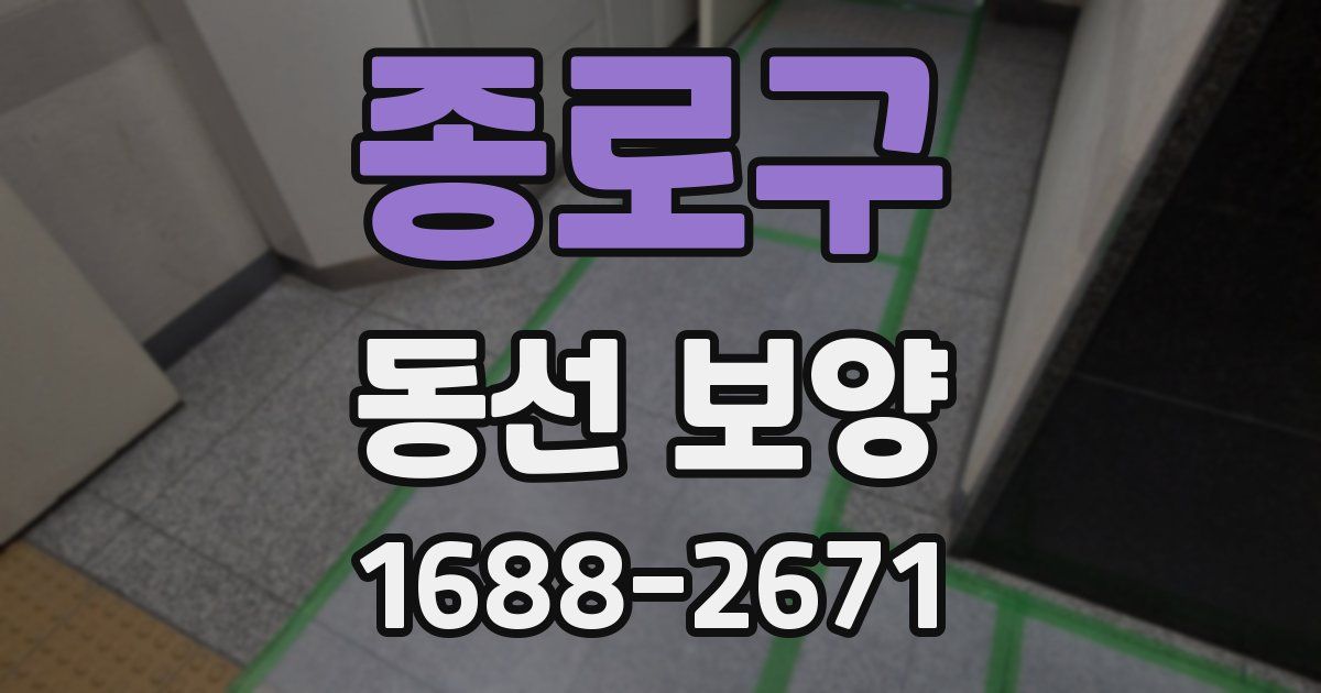 종로구 동선 보양