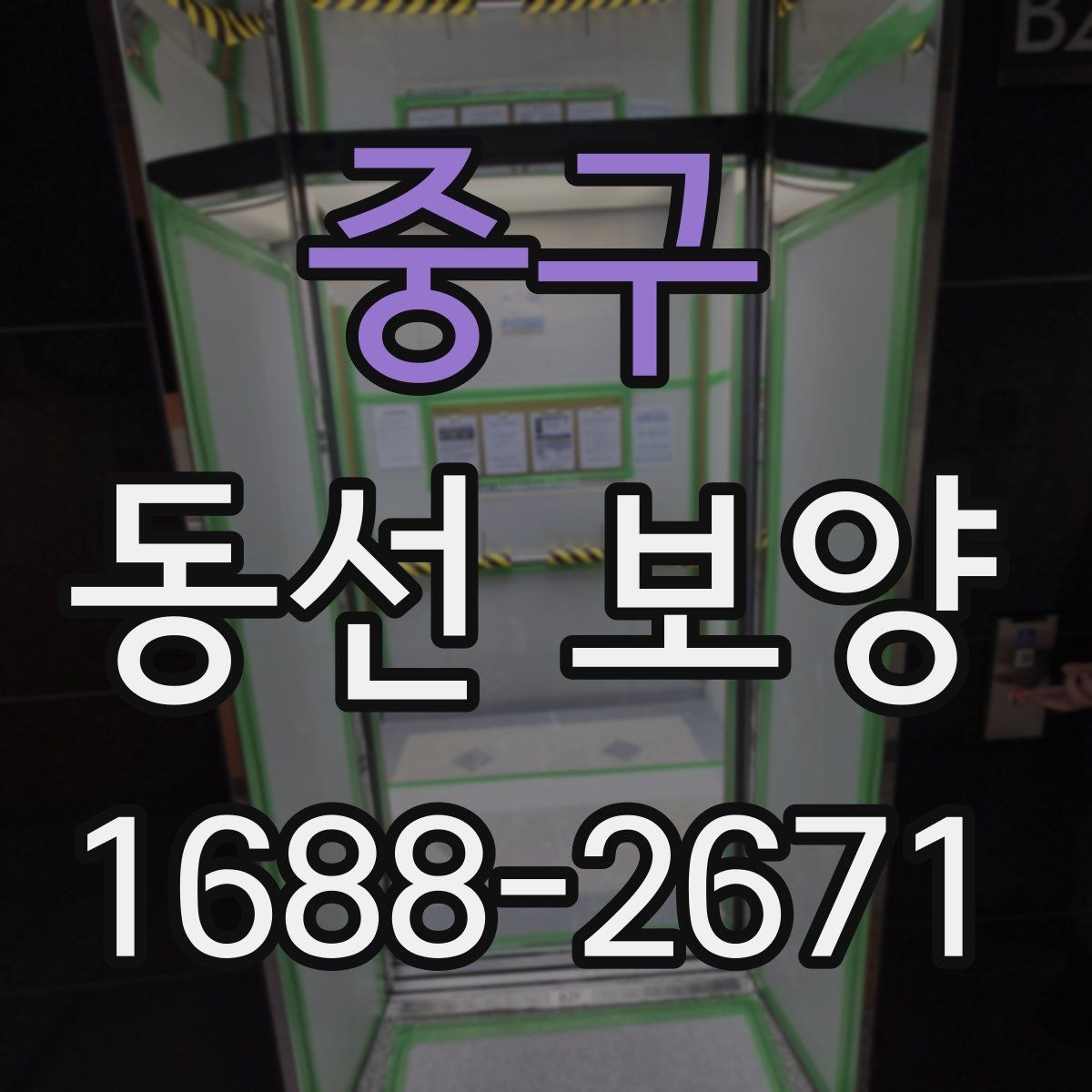 중구 동선 보양 현장별 일정 관리 팁