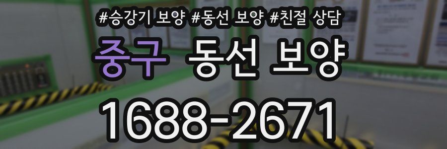 중구 동선 보양