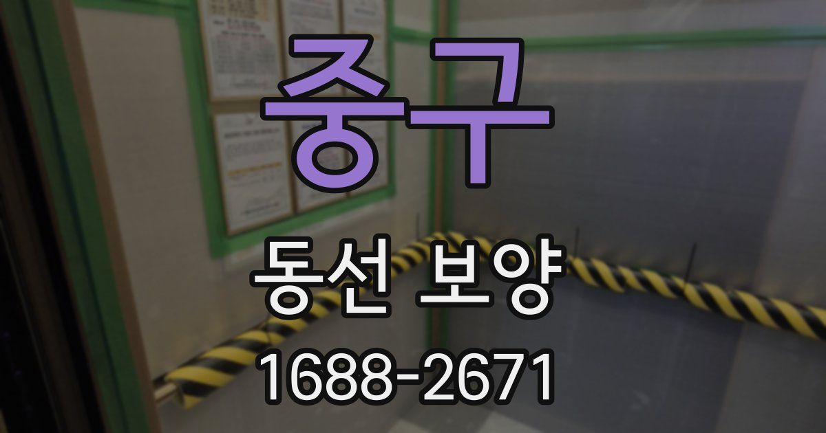 중구 동선 보양
