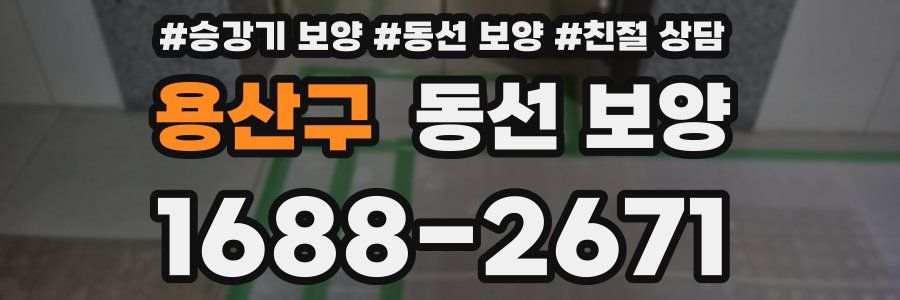 용산구 동선 보양