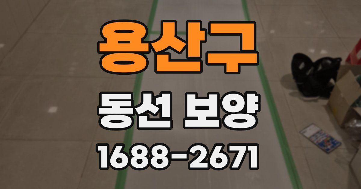 용산구 동선 보양