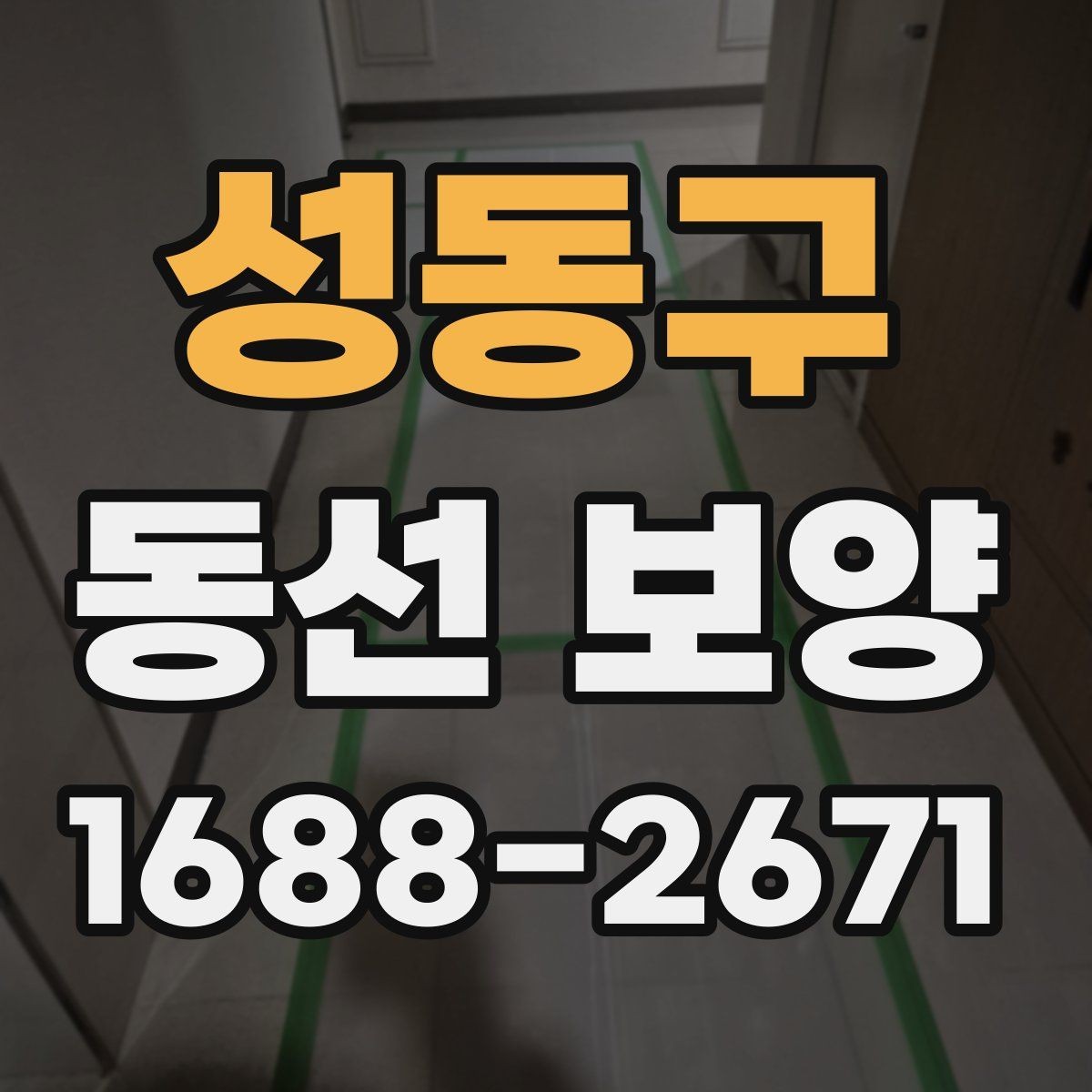 성동구 동선 보양 비용을 줄이기 위한 선택 기준