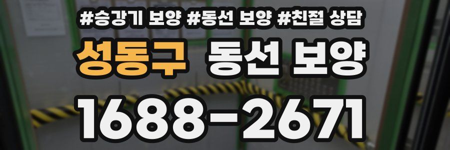 성동구 동선 보양