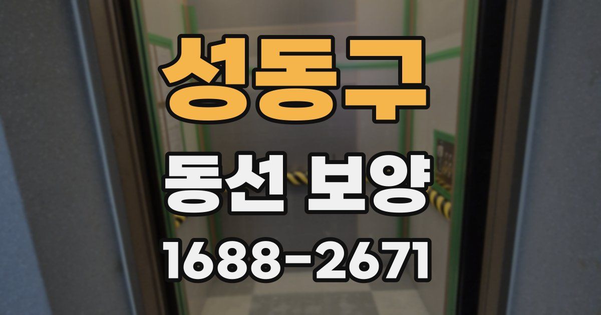 성동구 동선 보양