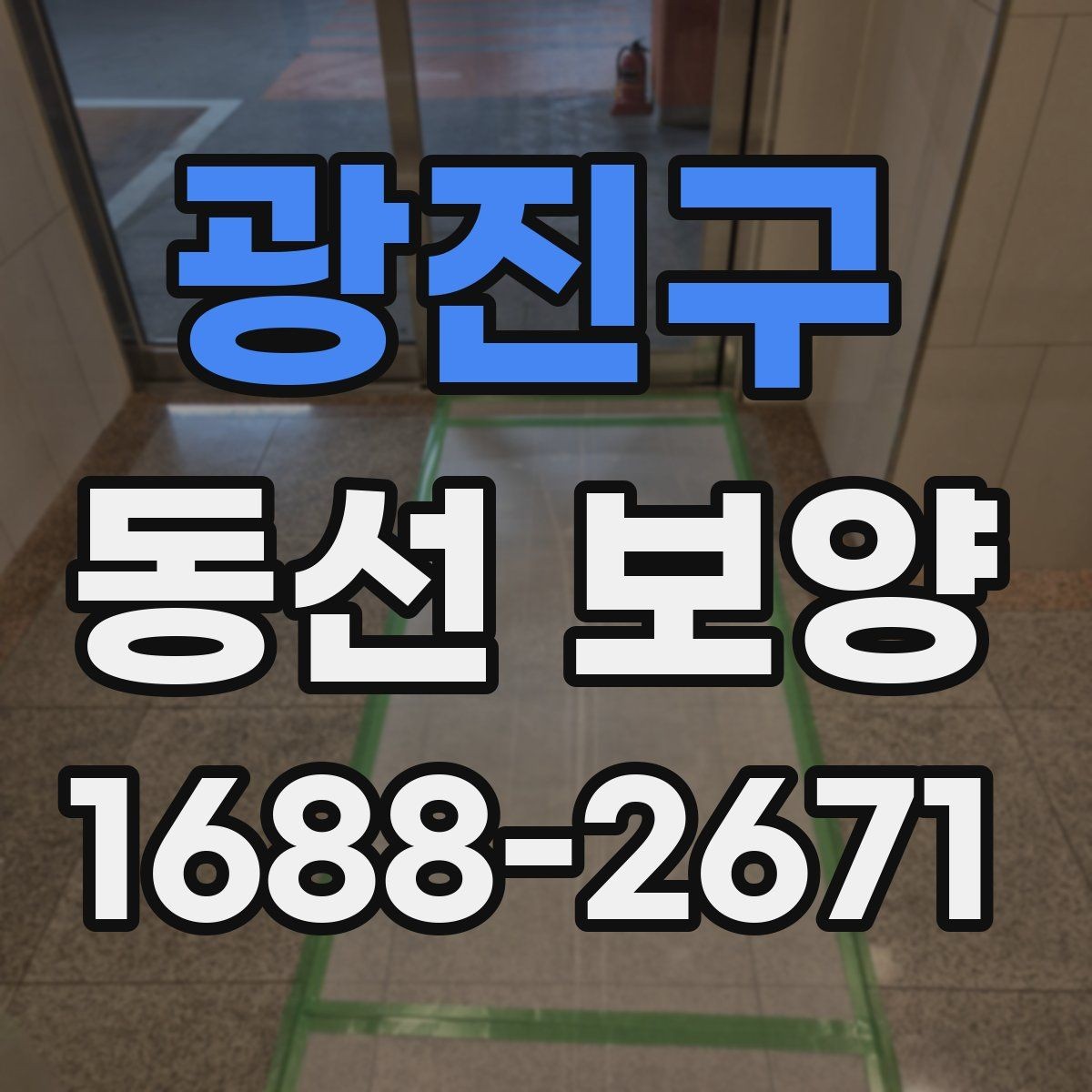 광진구 동선 보양 작업 전후 비교로 보는 변화