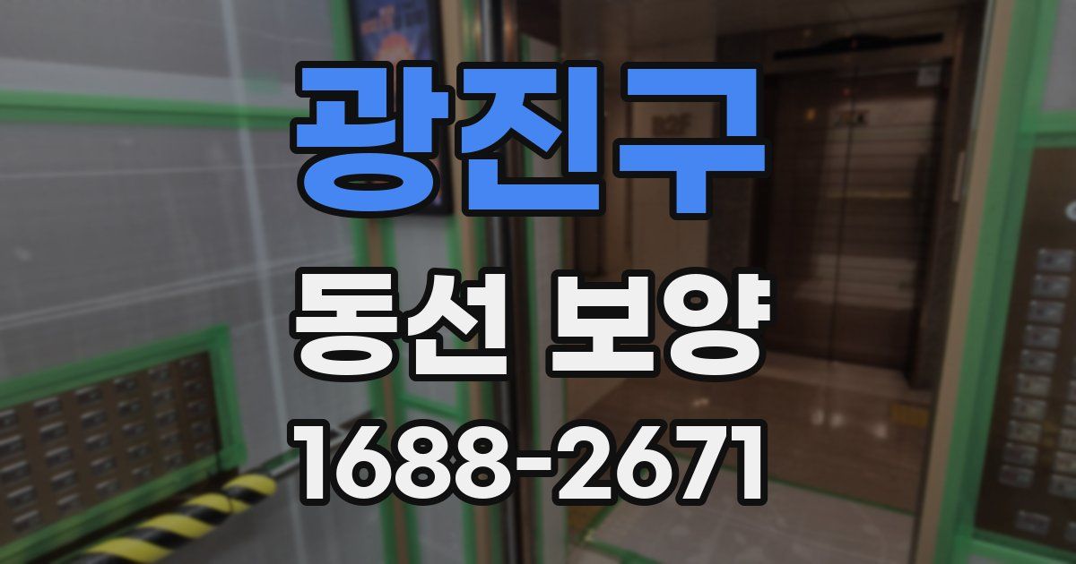광진구 동선 보양