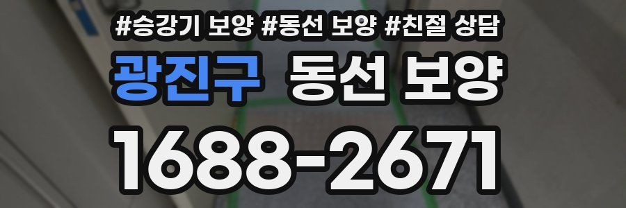 광진구 동선 보양
